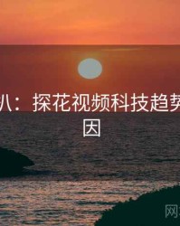 独家深扒：探花视频科技趋势背后原因