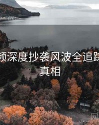 探花视频深度抄袭风波全追踪，揭秘真相