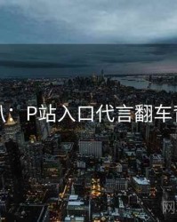 独家深扒：P站入口代言翻车背后原因