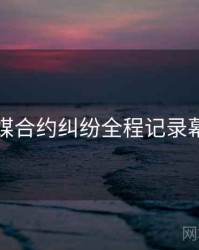 星空传媒合约纠纷全程记录幕后真相