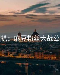 独家深扒：麻豆粉丝大战公众心理