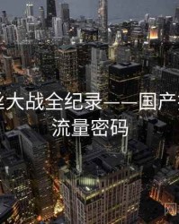 最新粉丝大战全纪录——国产探花海角流量密码