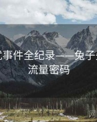即时骚扰事件全纪录——兔子先生在线流量密码