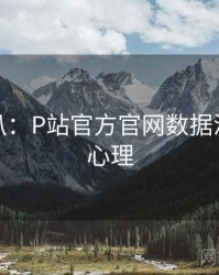 独家深扒：P站官方官网数据泄露公众心理