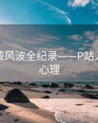 热辣抄袭风波全纪录——P站入口公众心理