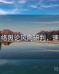 麻豆网络舆论风向研判，速来查看