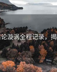 麻豆舆论漩涡全程记录，揭秘真相