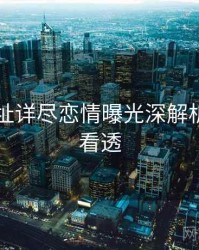 51网网址详尽恋情曝光深解析，带你看透