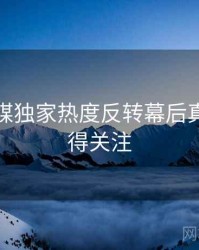 星空传媒独家热度反转幕后真相，值得关注