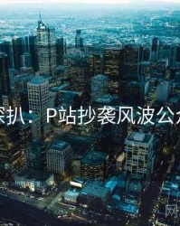 独家深扒：P站抄袭风波公众心理