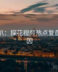 独家深扒：探花视频热点复盘背后原因