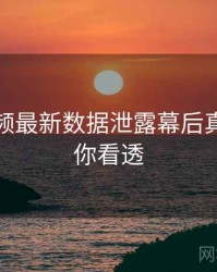 探花视频最新数据泄露幕后真相，带你看透