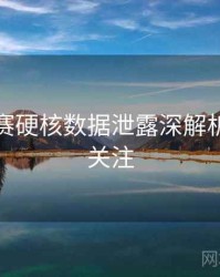每日大赛硬核数据泄露深解析，值得关注