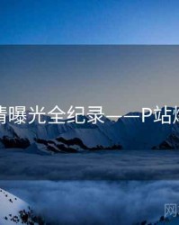 热辣恋情曝光全纪录——P站爆火秘诀