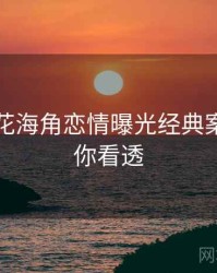 国产探花海角恋情曝光经典案例，带你看透