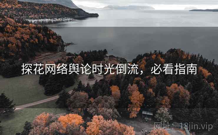 探花网络舆论时光倒流,必看指南 探花网络舆论时光倒流,必看指南