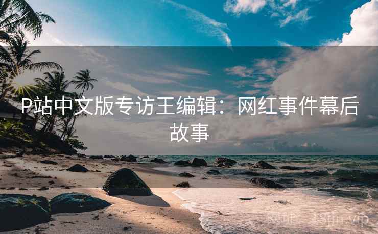 P站中文版专访王编辑：网红事件幕后故事